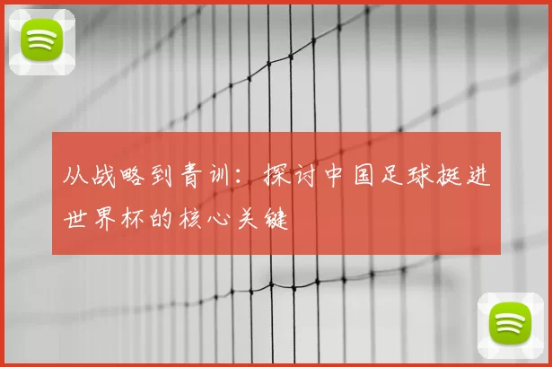 从战略到青训：探讨中国足球挺进世界杯的核心关键