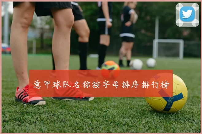 意甲球队名称按字母排序排行榜