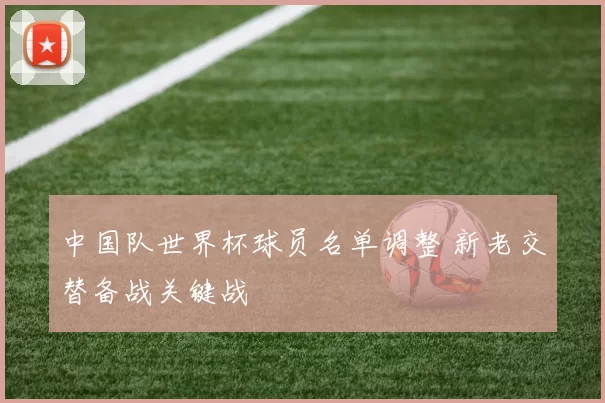 中国队世界杯球员名单调整 新老交替备战关键战