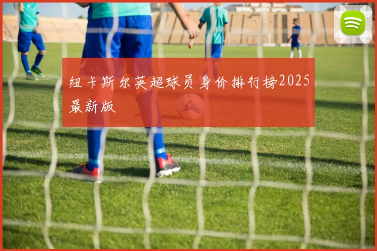 纽卡斯尔英超球员身价排行榜2025最新版