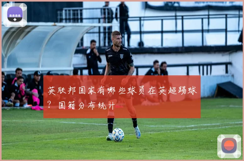 英联邦国家有哪些球员在英超踢球?国籍分布统计