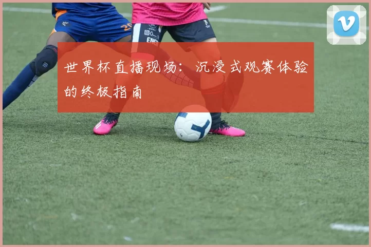 世界杯直播现场：沉浸式观赛体验的终极指南