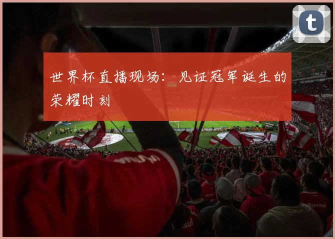 世界杯直播现场：见证冠军诞生的荣耀时刻