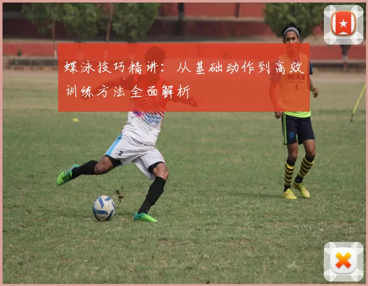 蝶泳技巧精讲：从基础动作到高效训练方法全面解析