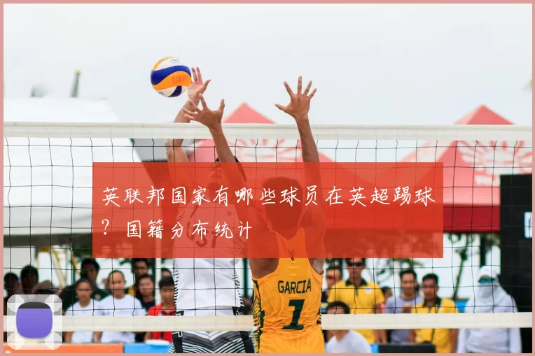 英联邦国家有哪些球员在英超踢球？国籍分布统计