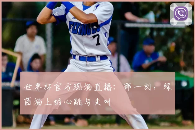世界杯官方现场直播：那一刻，绿茵场上的心跳与尖叫