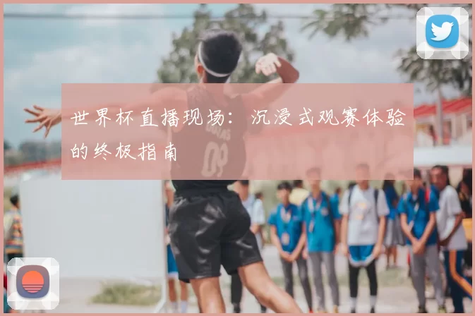 世界杯直播现场:沉浸式观赛体验的终极指南