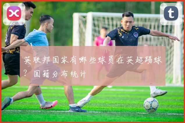英联邦国家有哪些球员在英超踢球？国籍分布统计