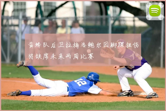 黄蜂队后卫拉梅洛鲍尔因脚踝扭伤将缺席未来两周比赛