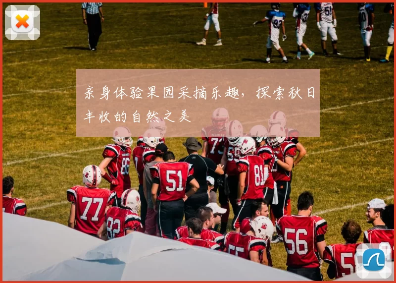 亲身体验果园采摘乐趣，探索秋日丰收的自然之美