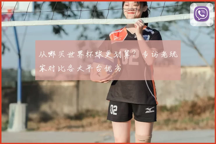 从哪买世界杯球更划算？专访老玩家对比各大平台优劣