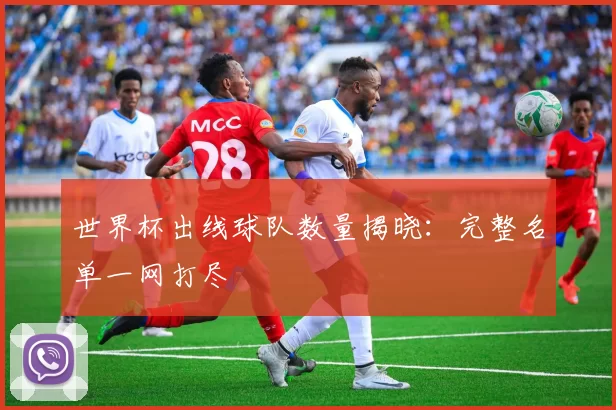 世界杯出线球队数量揭晓：完整名单一网打尽