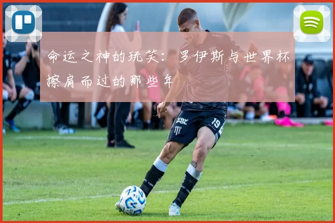 命运之神的玩笑：罗伊斯与世界杯擦肩而过的那些年