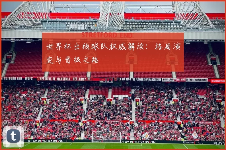 世界杯出线球队权威解读：格局演变与晋级之路