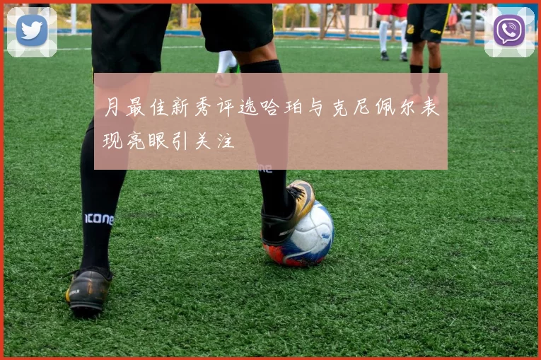 月最佳新秀评选哈珀与克尼佩尔表现亮眼引关注