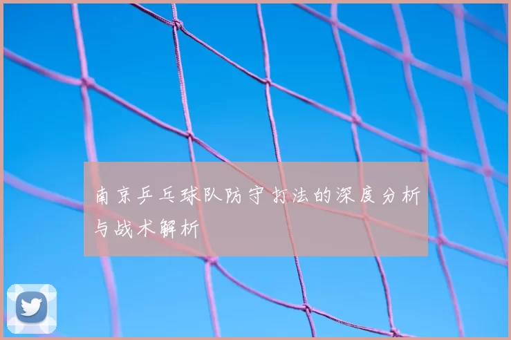南京乒乓球队防守打法的深度分析与战术解析