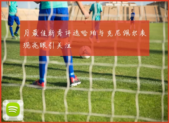 月最佳新秀评选哈珀与克尼佩尔表现亮眼引关注