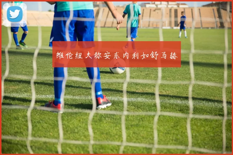 维伦纽夫称安东内利如舒马赫