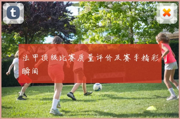 法甲顶级比赛质量评价及赛季精彩瞬间
