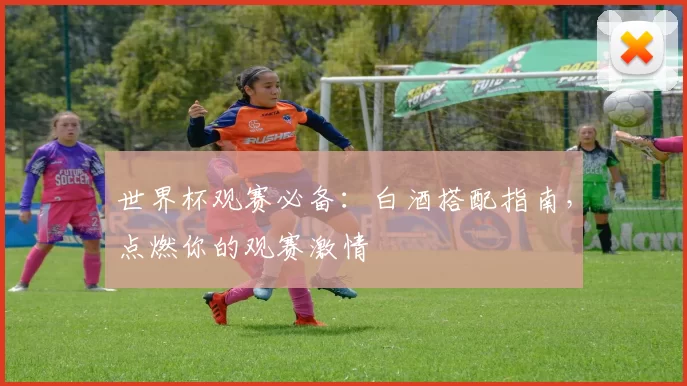 世界杯观赛必备:白酒搭配指南,点燃你的观赛激情