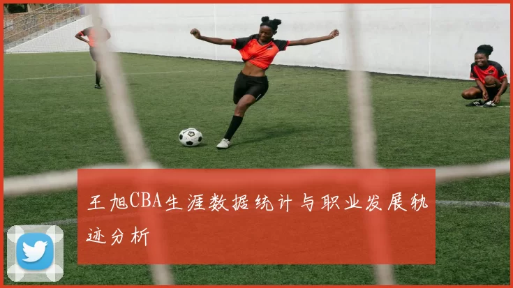 王旭CBA生涯数据统计与职业发展轨迹分析