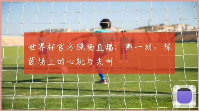 世界杯官方现场直播：那一刻，绿茵场上的心跳与尖叫