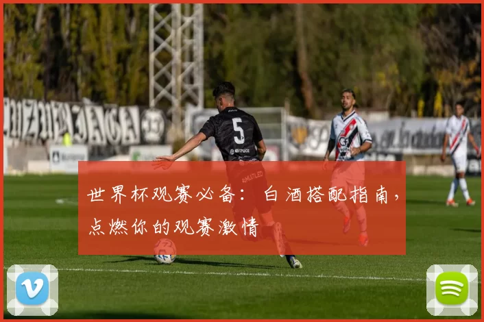 世界杯观赛必备:白酒搭配指南,点燃你的观赛激情