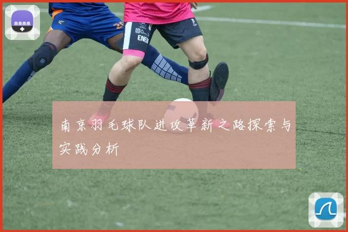 南京羽毛球队进攻革新之路探索与实践分析