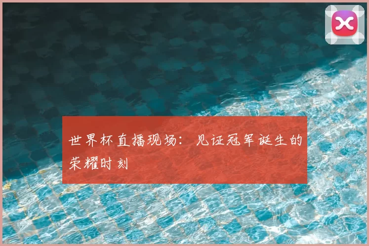 世界杯直播现场：见证冠军诞生的荣耀时刻